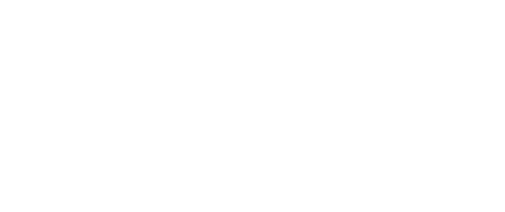 Marcela Freire